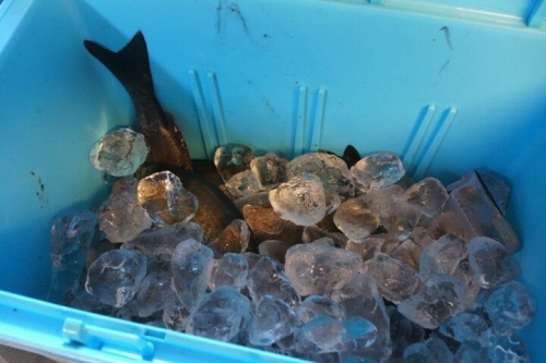 2016-05-12 9-49-10.jpg