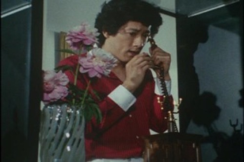 PDVD_016.jpg