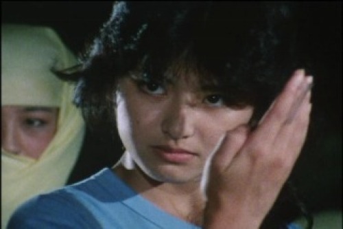 PDVD_006.jpg