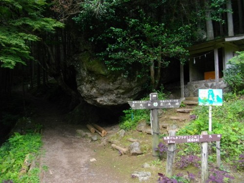 正丸峠伊豆ヶ岳分岐 (500x375).jpg