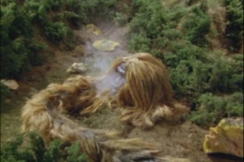 PDVD_060.jpg