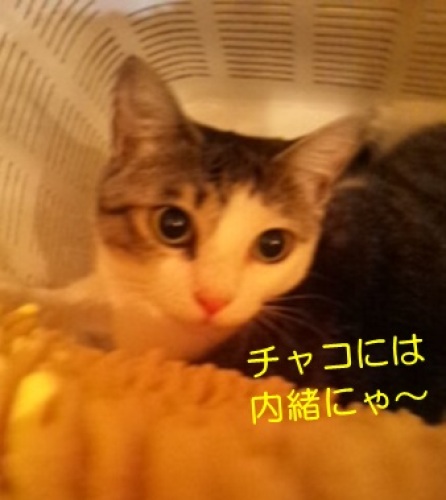 20130718_6.jpg