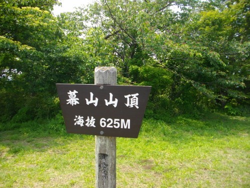 幕山山頂 (500x375).jpg