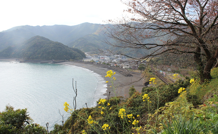 勝手に一日駅長 安和駅（高知県須崎市） | あずきちゃん＆ボルトくん