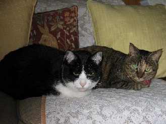 クロ・みかん　2012.10.02 004.jpgブログ.jpg