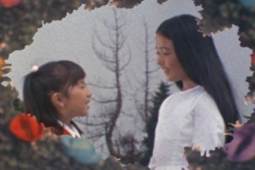 PDVD_010.jpg