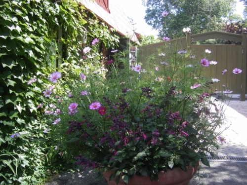 IMGP0042 (640x480).jpg