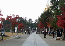 上杉6.jpg