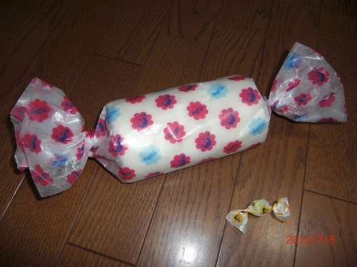 CIMG6916 (640x480).jpg