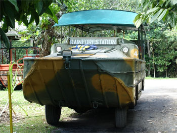 OZ181.jpg