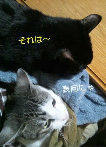 20140419_2.jpg