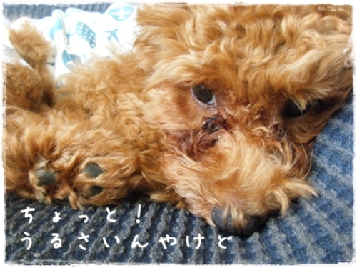 DSCF4146.JPG