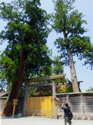 pict-伊勢外宮　14.jpg