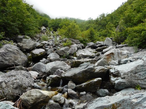 北岳大樺沢登山道 (2).JPG