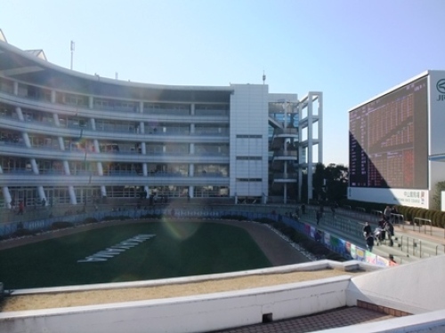 DSCF2333.JPG