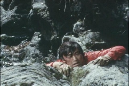 PDVD_132.jpg