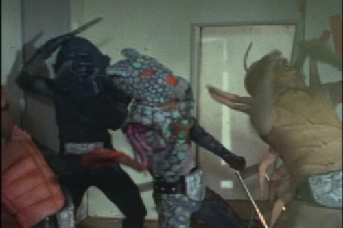 PDVD_032.jpg