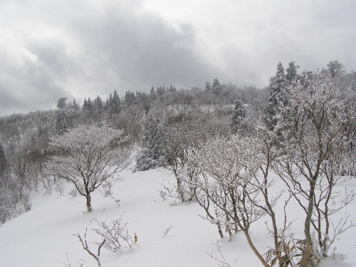 P2090732t.jpg