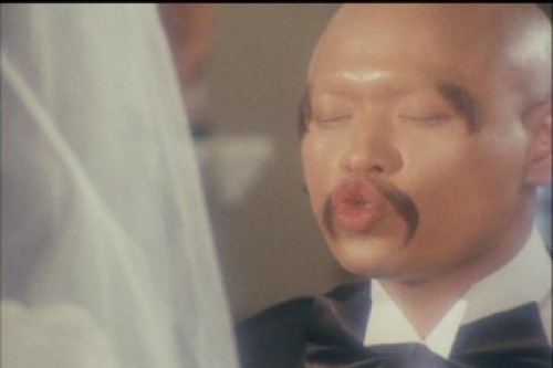 PDVD_003.jpg