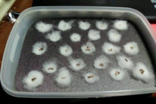 2016-11-26 19-20-14.jpg