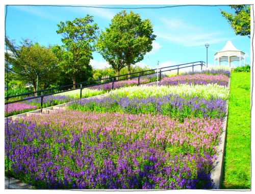 淡路島　国営明石海峡公園