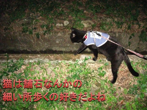 チャン4.jpg