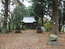長谷堂城6.jpg