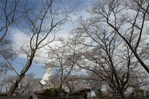 船岡13.jpg