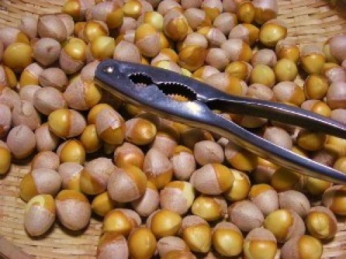 DSCN1614 (300x225).jpg