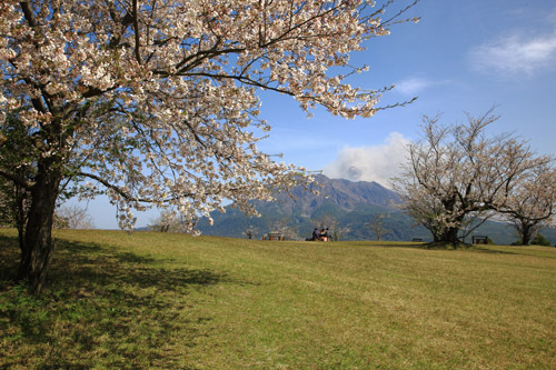 gazo20120409-03.JPG