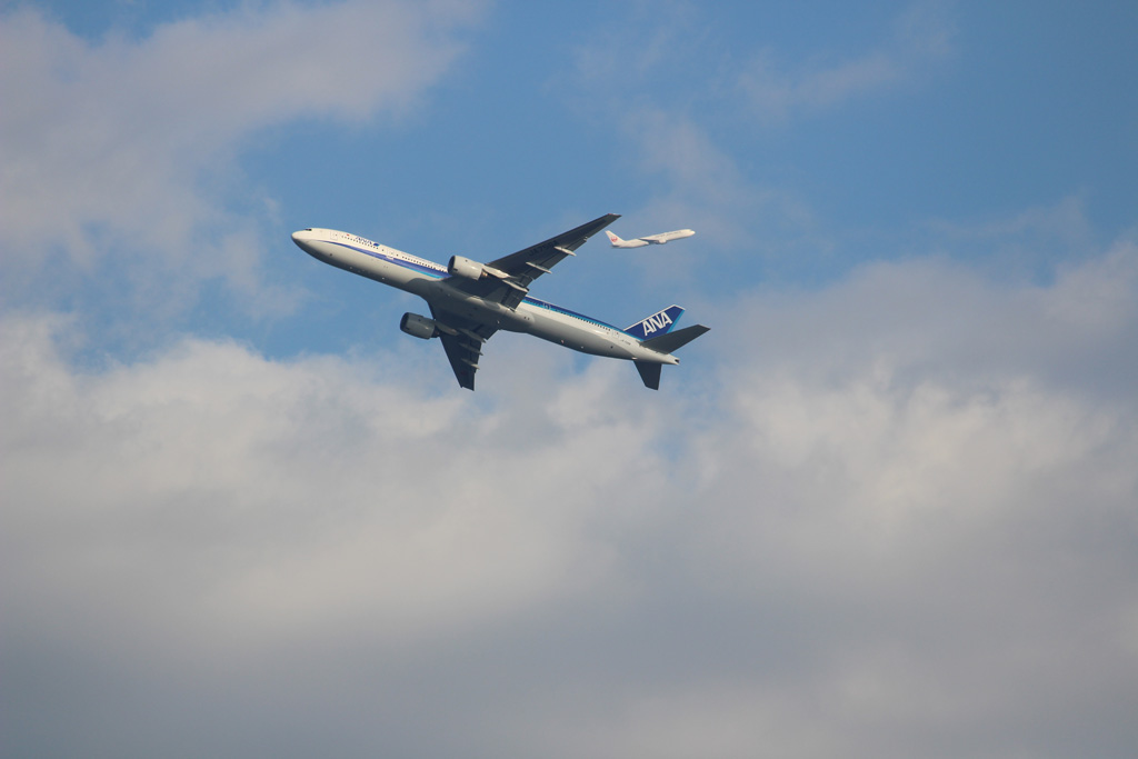 ANA B777-300（東京港野鳥公園）