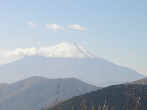 塔ノ岳大日から富士山 (500x377).jpg