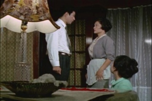 PDVD_023.jpg