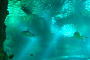 guam water2.jpg