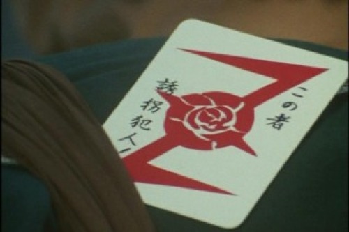 PDVD_011.jpg