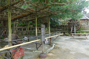 沖縄328.jpg