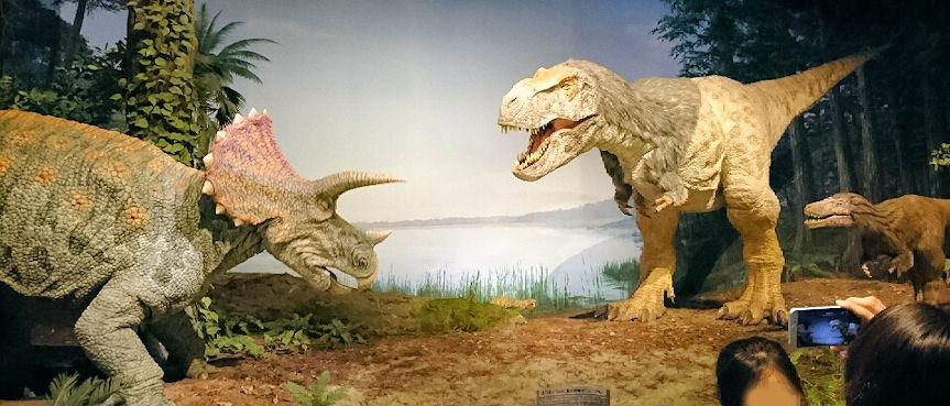 ミュージアムパーク茨城県自然博物館1恐竜 Buffieblog 楽天ブログ