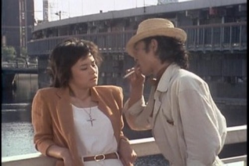 PDVD_009.jpg