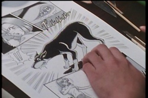 PDVD_003.jpg