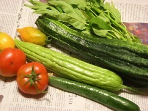 DSCN2648 (300x225).jpg