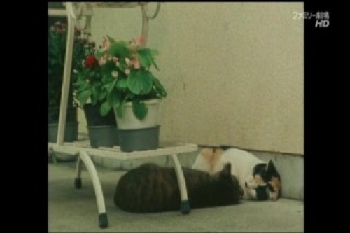 PDVD_041.jpg
