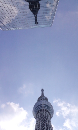 PAP_0016.JPG