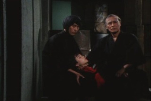 PDVD_028.jpg