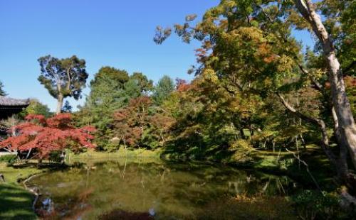 pict-高台寺 15.jpg