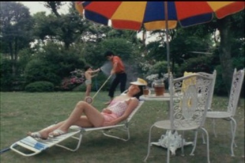 PDVD_048.jpg
