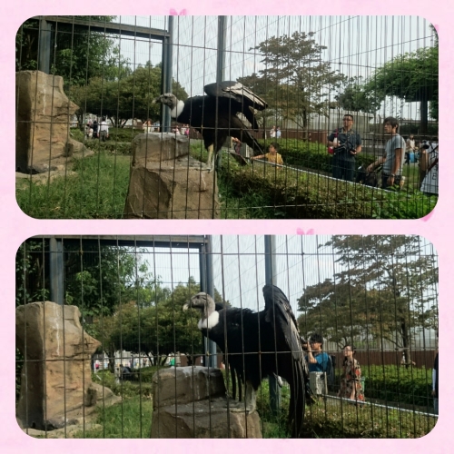 CYMERA_20150709_104050.jpg