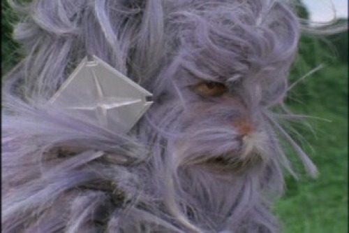 PDVD_027.jpg