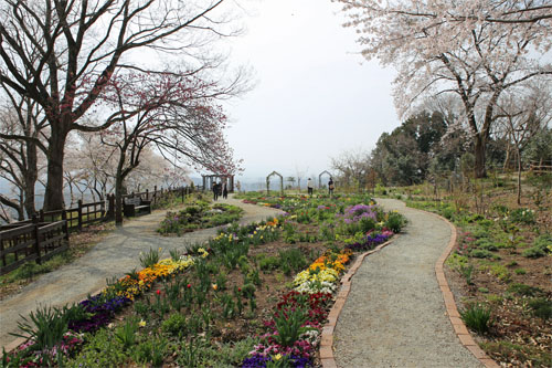 船岡27.jpg