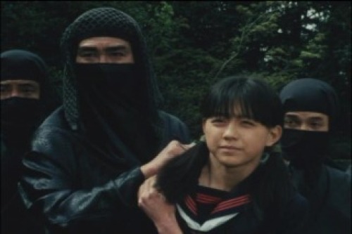 PDVD_030.jpg