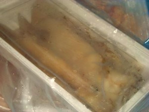 DSCN0927 (300x225).jpg